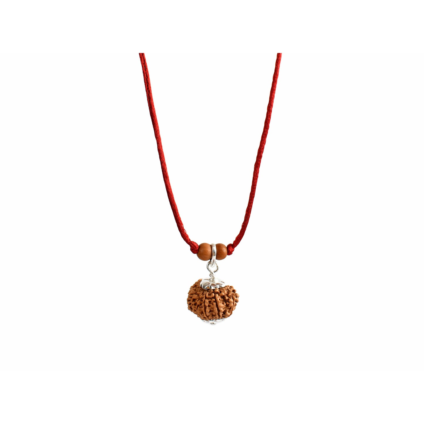 11-Augen-Rudraksha (Nepal) - Schenkt Mut, Selbstbewusstsein und Ausdrucksstärke