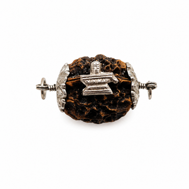 Rudraksha de 2 o-ojo xxxl (Nepal) -por la unidad, amor incondicional y armonía