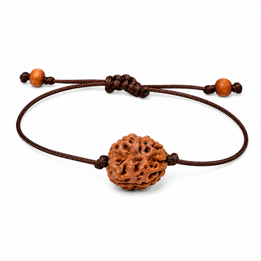 2-Eyes Rudraksha (Nepal) para la unidad, amor incondicional y armonía