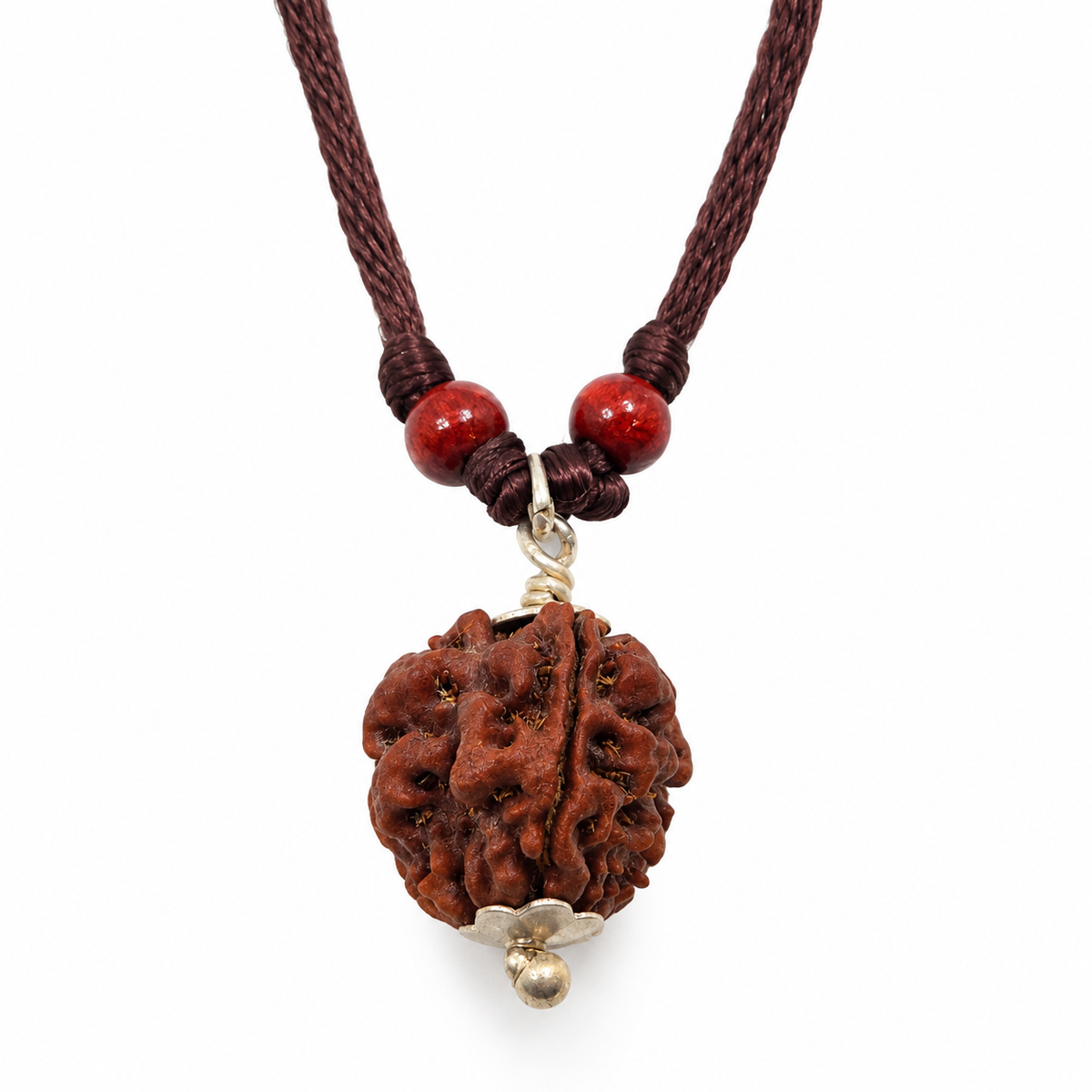 3 -eyes Rudraksha (Nepal) - activated and balanced the inner fire
