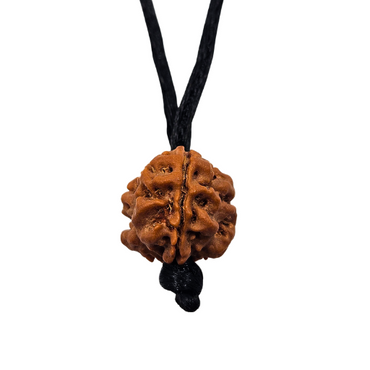 3 -Eyes Rudraksha (Nepal) - Activado y equilibrado el fuego interno