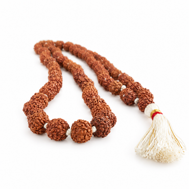 5-Augen-Rudraksha-Mala - für Balancierung und Kraft -mittel