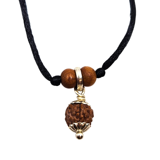 5 -Eyes Rudraksha (Java) - equilibra los cinco elementos
