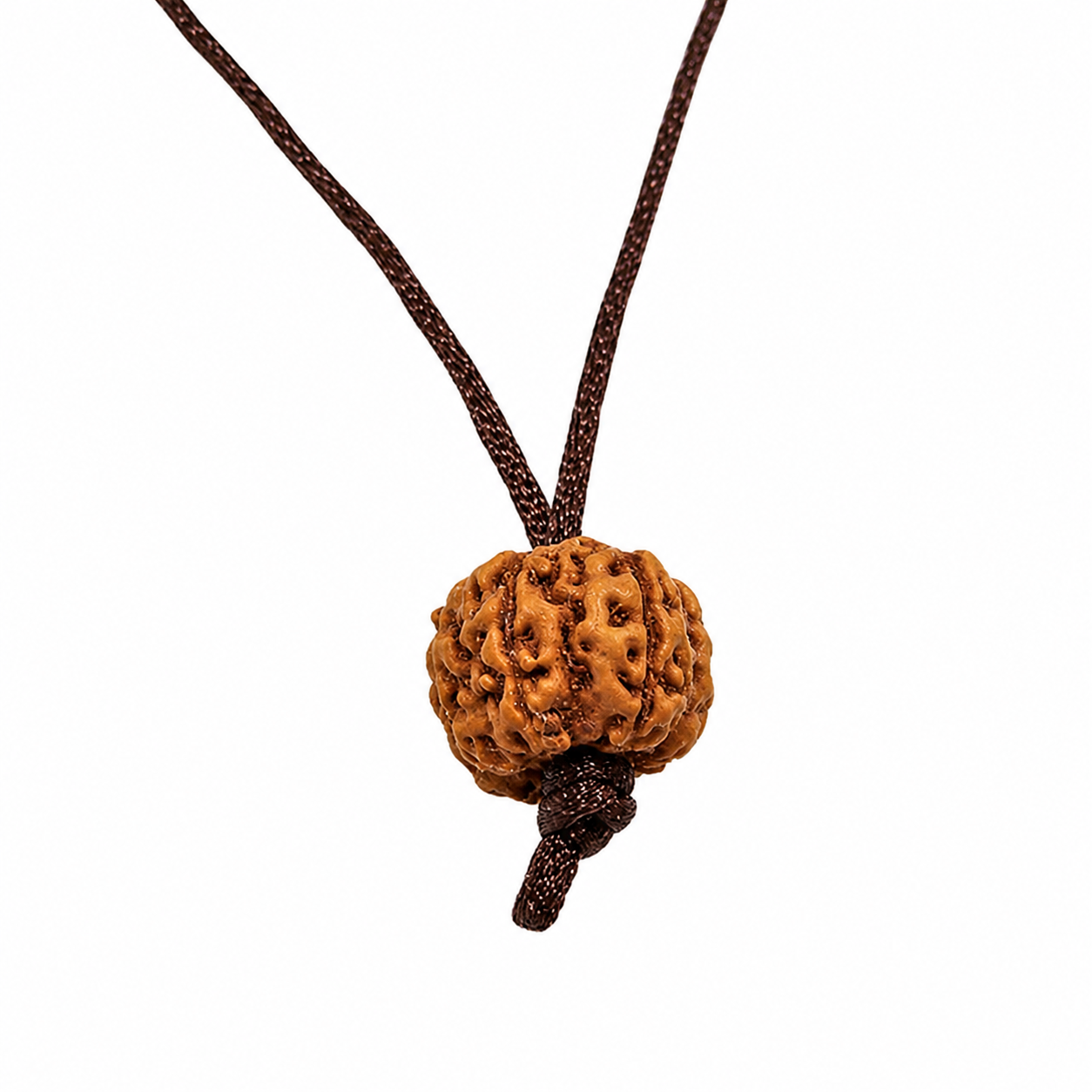 6-Eyes Ruddraksha (Java)-aumenta la confianza, la fuerza de voluntad y protege contra el dolor secular