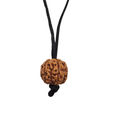 6-Augen-Rudraksha (Java) - steigert Vertrauen, Willenskraft und schützt vor weltlicher Trauer