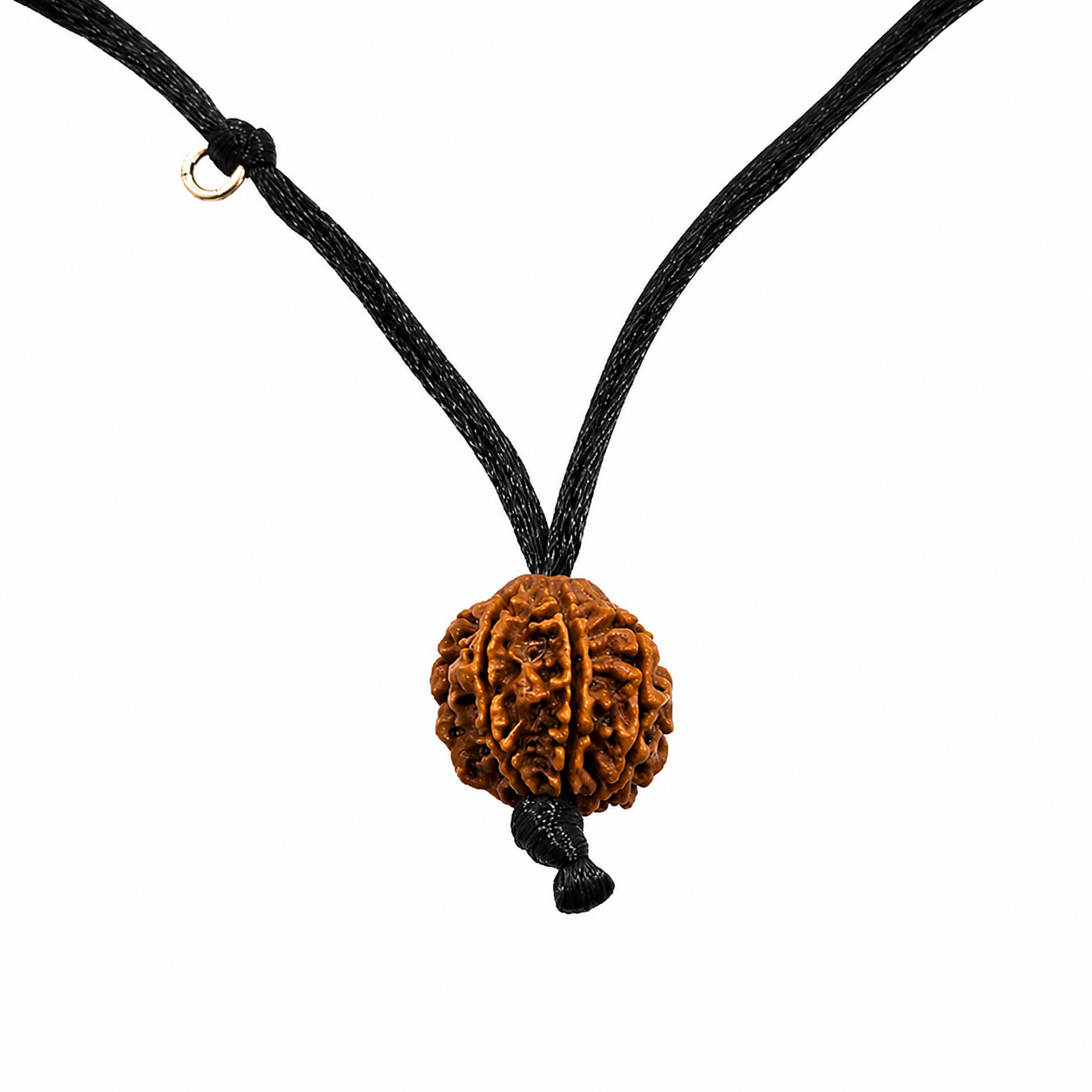 7-Eye Rudraksha (Nepal)-Para más abundancia, riqueza y ligereza