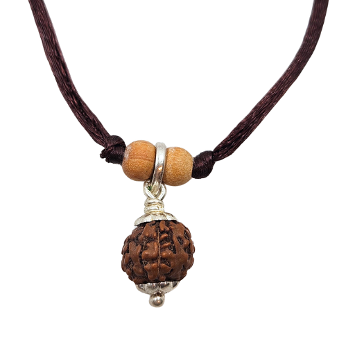 Rudraksha (Java) 8-ojo-elimina obstáculos, transforma la negatividad