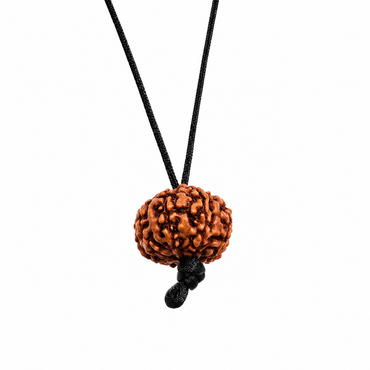 8-Augen-Rudraksha (Java) - Beseitigt Hindernisse, transformiert Negativität