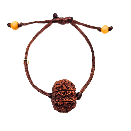 8-Augen-Rudraksha (Nepal) - Beseitigt Hindernisse, transformiert Negativität