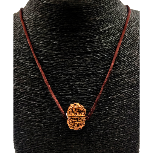 Rudraksha (Népal) à 9 yeux pour la force intérieure et la perception surnaturelle