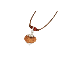 9 -Eyes Rudraksha (Java) - Para la fuerza interior y la percepción sobrenatural