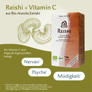 Bio Reishi – Hochwertiger Vitalpilz mit Vitamin C