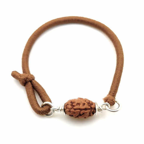 Rudraksha à 2 yeux (Java) pour l'unité, amour et harmonie inconditionnels