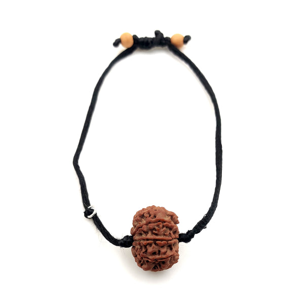 6-Augen-Rudraksha - (Nepal) - steigert Vertrauen, Willenskraft und schützt vor weltlicher Trauer