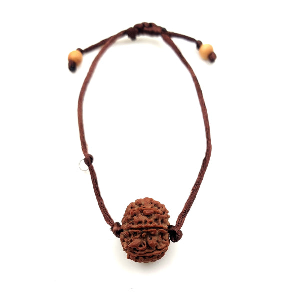 6-Augen-Rudraksha - (Nepal) - steigert Vertrauen, Willenskraft und schützt vor weltlicher Trauer