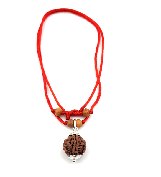 5-Augen Rudraksha (Nepal) - Balanciert die fünf Elemente