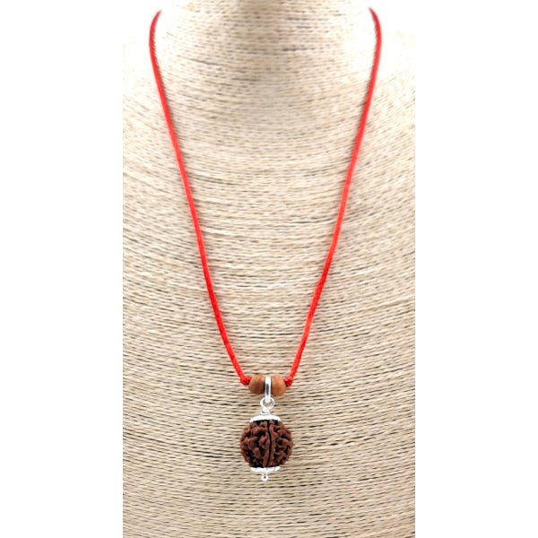 5-Augen Rudraksha (Nepal) - Balanciert die fünf Elemente