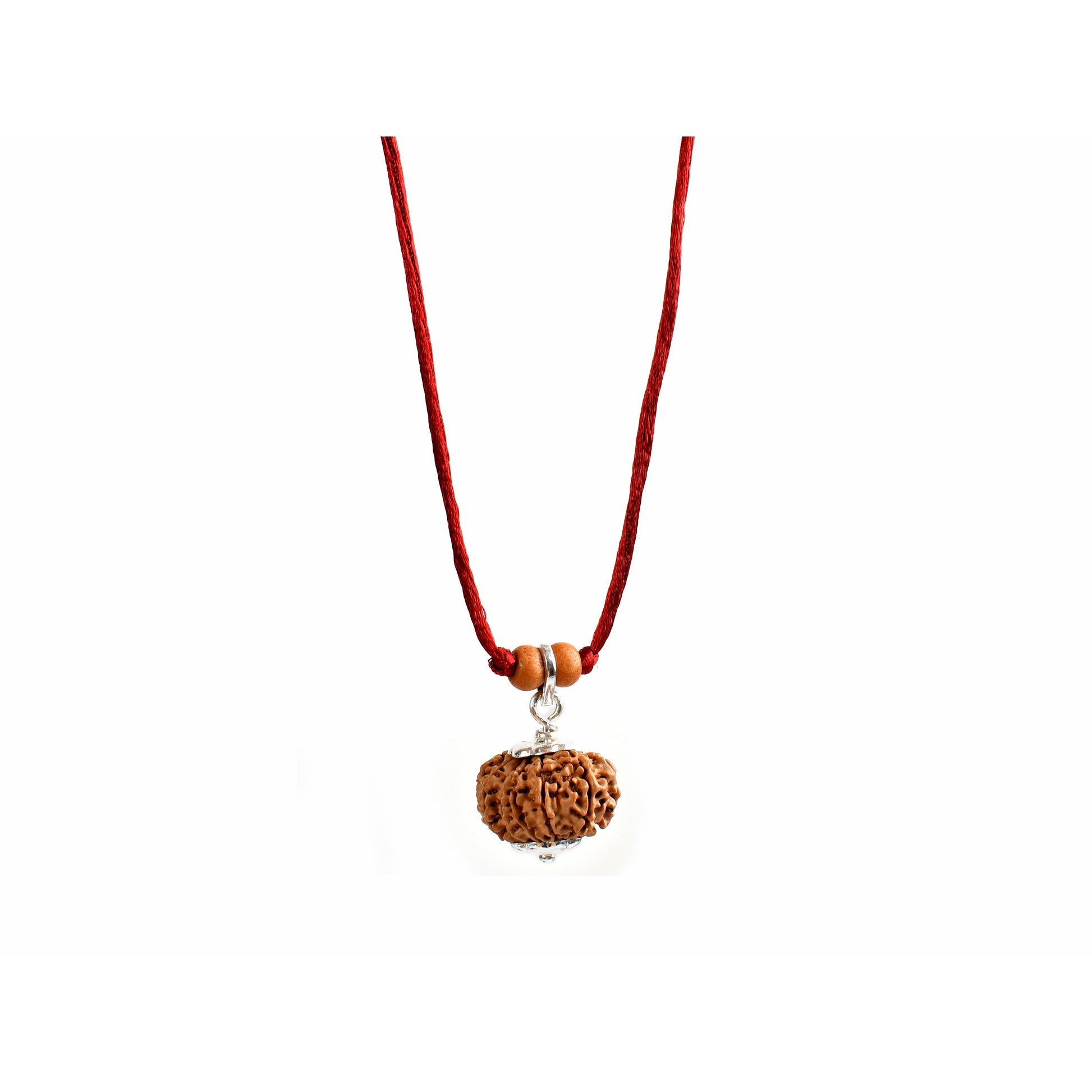 12-Augen-Rudraksha (Nepal