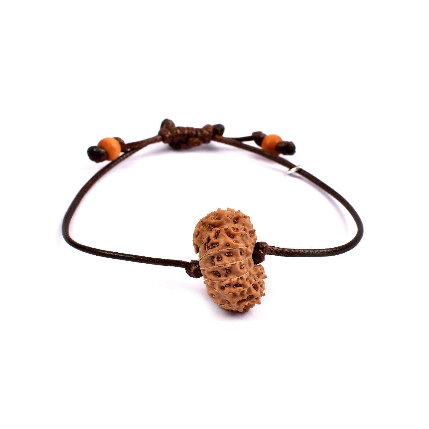 14-Augen-Rudraksha (Java)