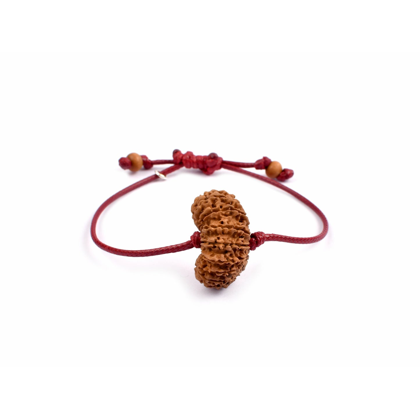 18-Augen-Rudraksha (Nepal)