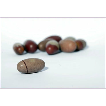 Narmada-Shivalingam original d'Inde