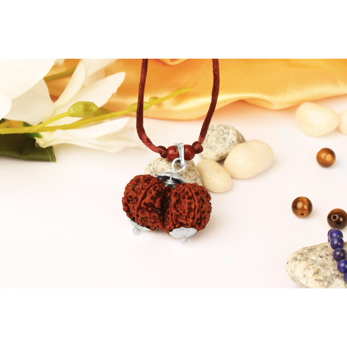Gauri-Shankara-/Shiva-Shakti-Rudraksha (Nepal) - besonders kraftvoll