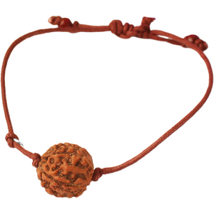 6-eyes Rudraksha (Java) - increases confidence, willpower and protects against worldly grief
