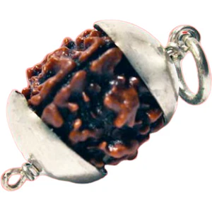 4-eyes Rudraksha (Nepal) - For clear communication & connection of knowledge of all kinds