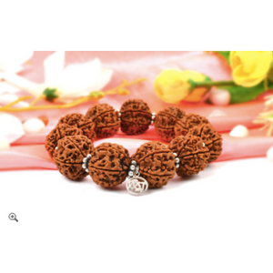 6-eyes Rudraksha - Mars bracelet for grounding and happiness (Nepal)