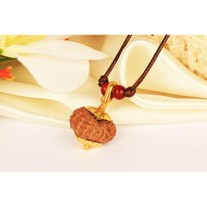 19-eyes Rudraksha (Java) - abundance in all areas, absolute power and protection