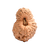 20-eyes Rudraksha (Java) - For immense knowledge, intellect, power and prosperity