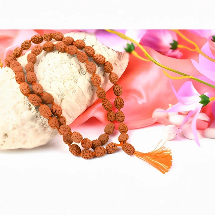 Rudraksha richtig wählen: Welche Rudraksha passt zu deinen Bedürfnissen?