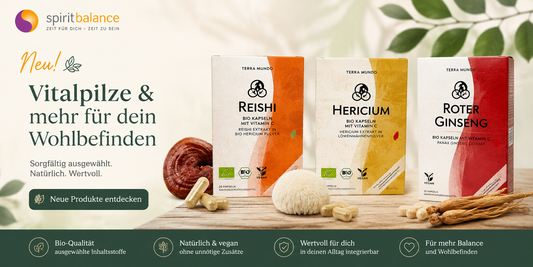 Vitalpilze: Die besondere Welt von Reishi, Hericium & Co.