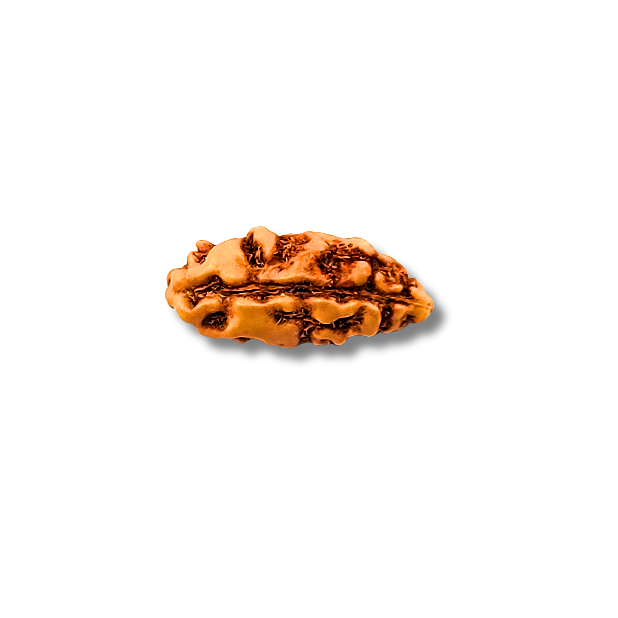 1-Ojo-Rudraksha_Java_lose
