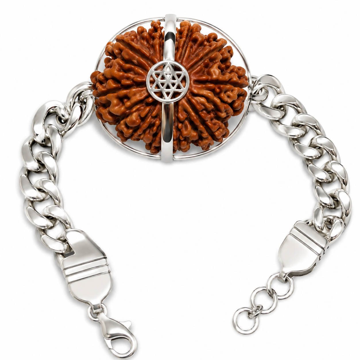 Rudraksha à 12 yeux (Népal) - Transformation du lecteur sans lecteur et l'inertie