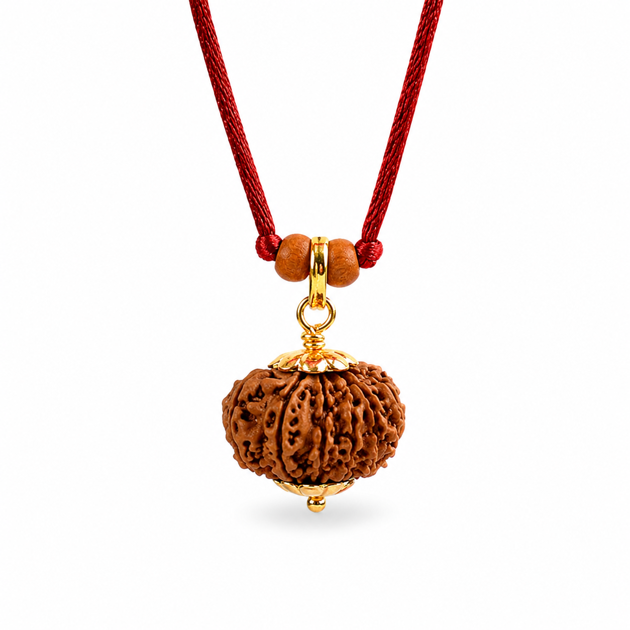 Rudraksha à 12 yeux (Népal) - Transformation du lecteur sans lecteur et l'inertie