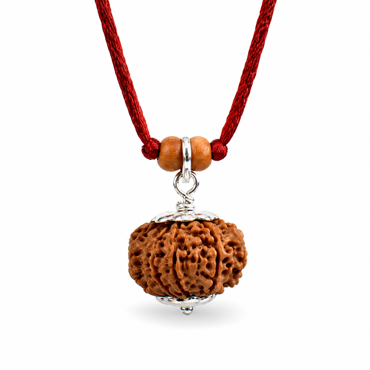 Rudraksha à 12 yeux (Népal) - Transformation du lecteur sans lecteur et l'inertie