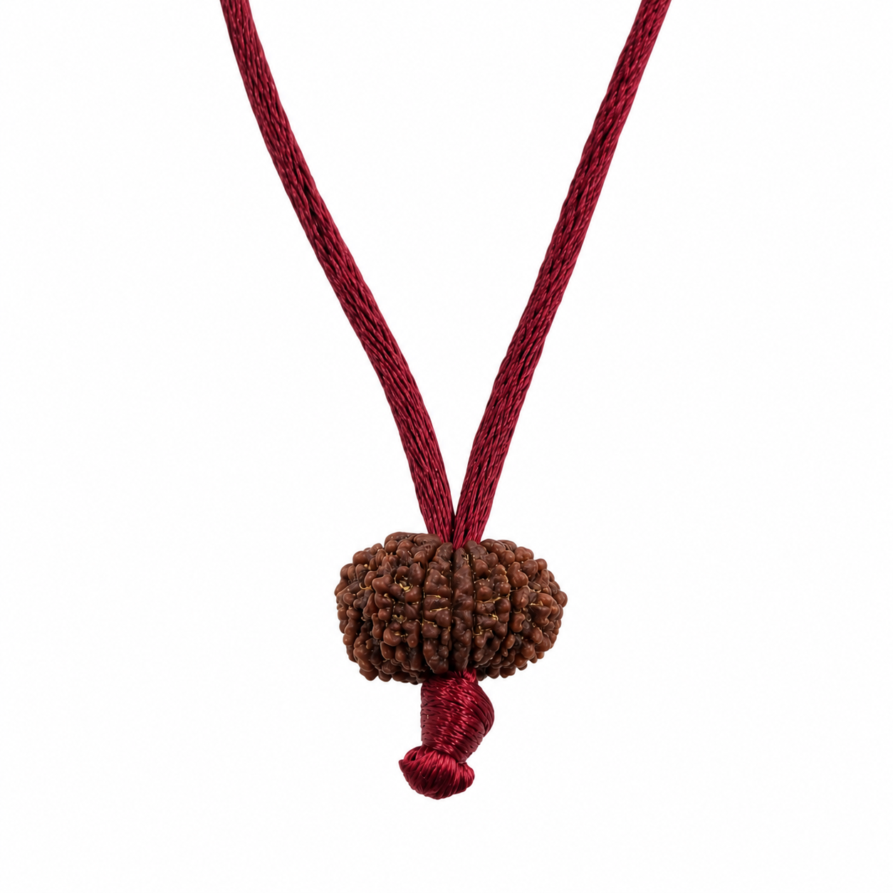 13 ojos Rudraksha (Nepal)-Por sensualidad, sexualidad y deseos de todo tipo