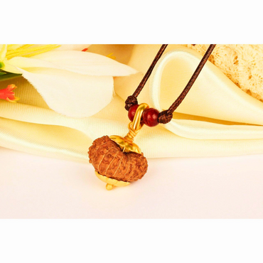 19 ojos Rudraksha Java