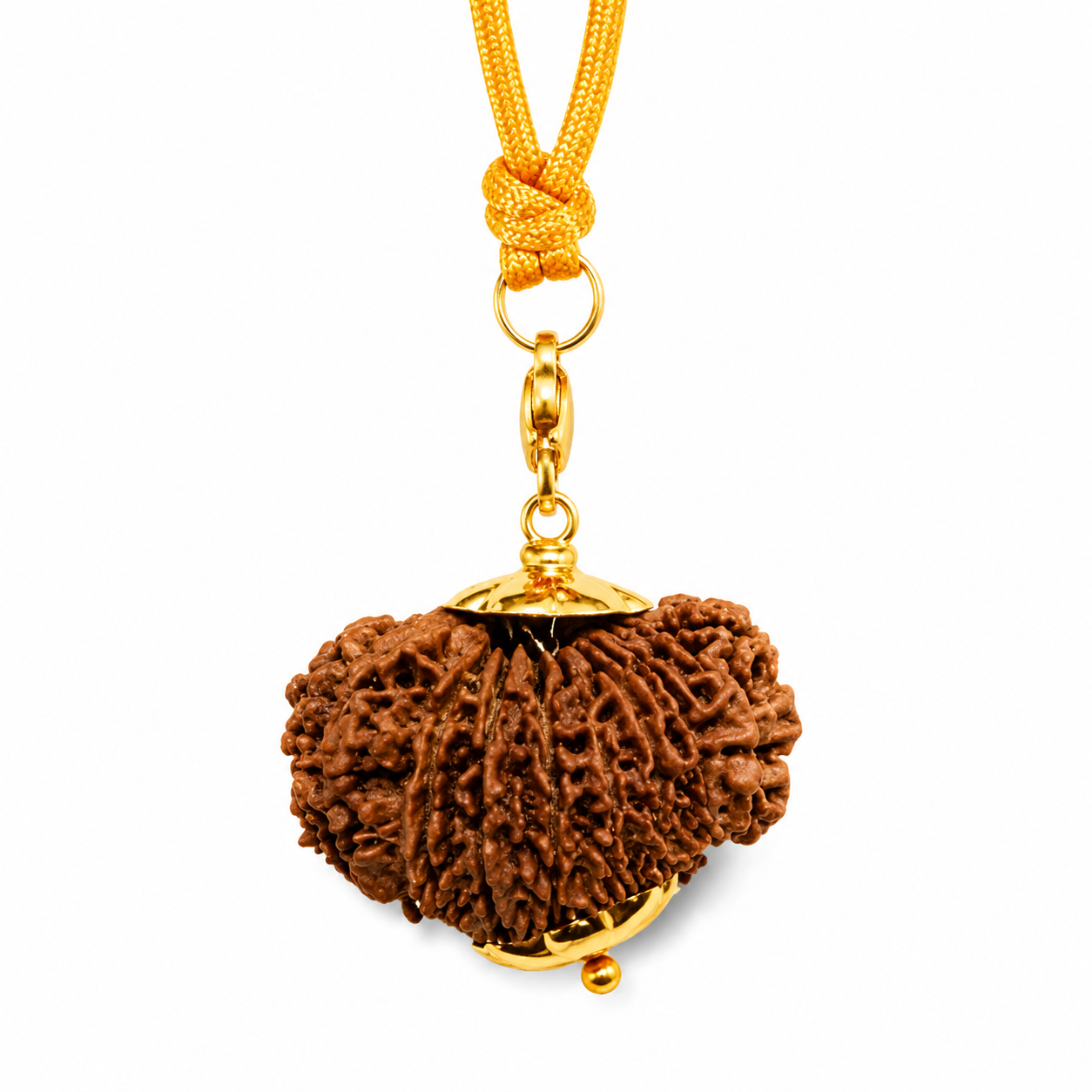 19-Eye Rudraksha (Nepal) -Bundancia en todas las áreas, fuerza y ​​protección absoluta