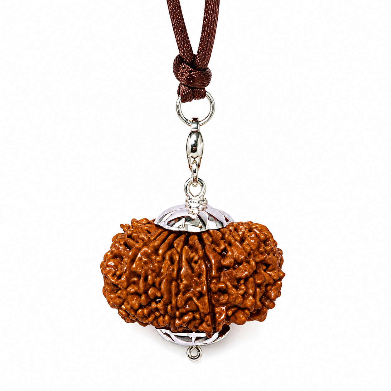 19-Eye Rudraksha (Nepal) -Bundancia en todas las áreas, fuerza y ​​protección absoluta