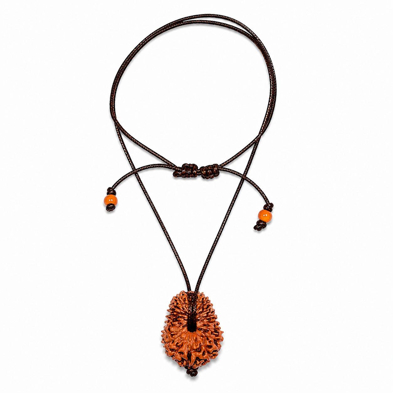 19-ojo de Rudraksha (Java) -Bundance en todas las áreas, fuerza y ​​protección absoluta