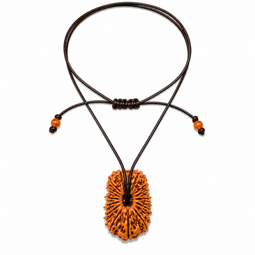 19-Eye Rudraksha (Nepal) -Bundancia en todas las áreas, fuerza y ​​protección absoluta
