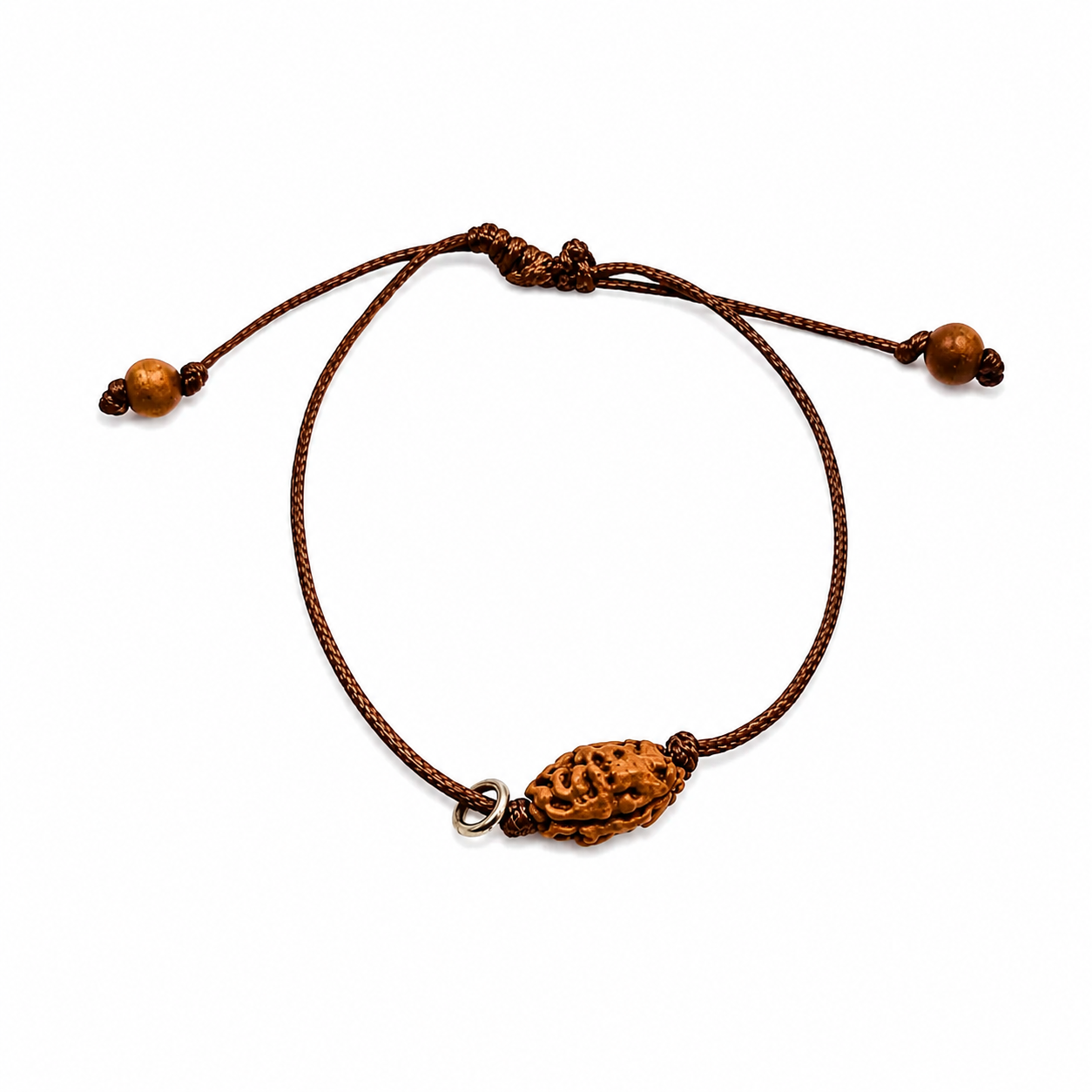 Rudraksha de 2-ojo (Java) para la unidad, amor incondicional y armonía
