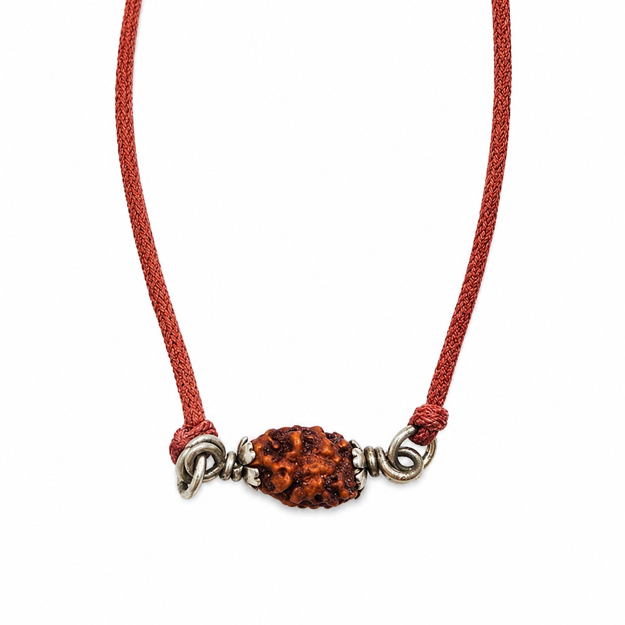 Rudraksha de 2-ojo (Java) para la unidad, amor incondicional y armonía