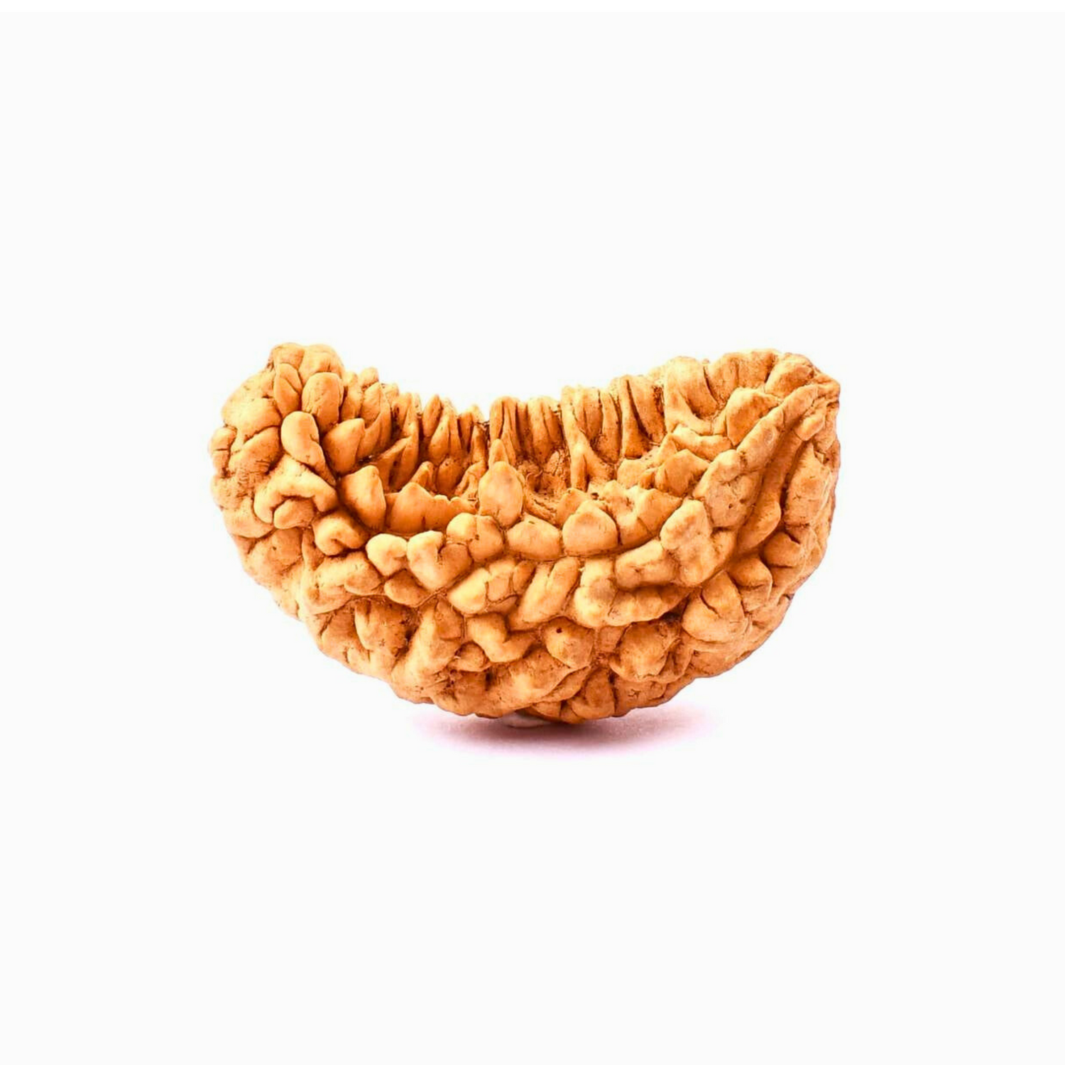 Rudrakshas Deluxe
