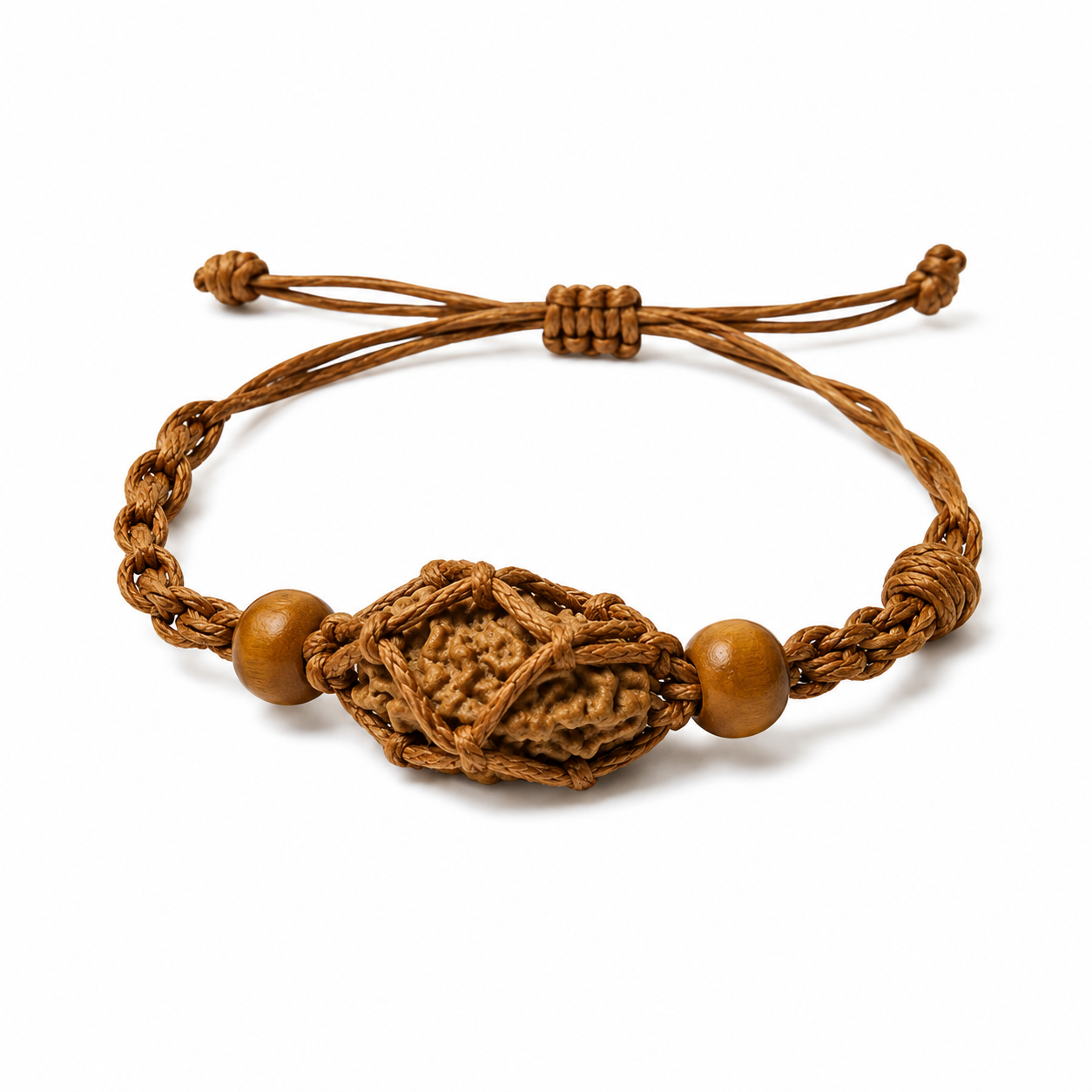 2-Augen Rudraksha (Nepal) für Einheit, bedingungslose Liebe & Harmonie groß