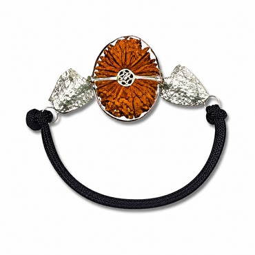 20-Eye Rudraksha (Java)-Para inmenso conocimiento, intelecto, fuerza y ​​prosperidad
