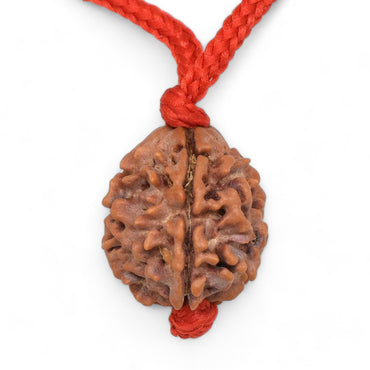 3-Augen Rudraksha (Nepal) - Aktiviert und balanciert das innere Feuer
