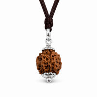 Rudraksha (Java) à 3 yeux (Java) et équilibré le feu intérieur